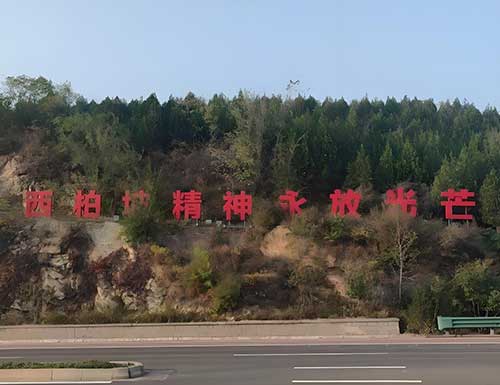 xbpjs3.jpg xbpjs3.jpg