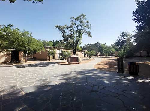 共情力提升 共情力提升