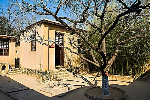 西柏坡紅色培訓：黨員干部思政教育新引擎